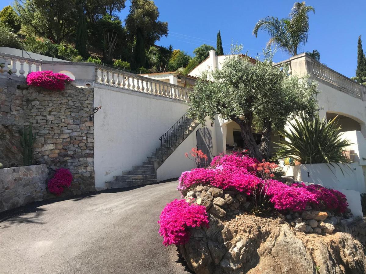 3 Bedrooms Villa Near Cannes - Pool & Jacuzzi - Sea View Mandelieu Exteriör bild